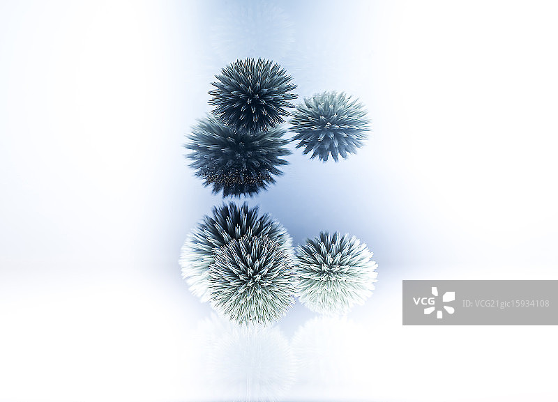 蓝刺头图片素材