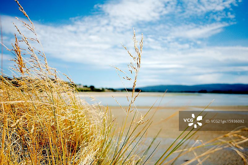 雅各布斯河河口：里弗顿图片素材