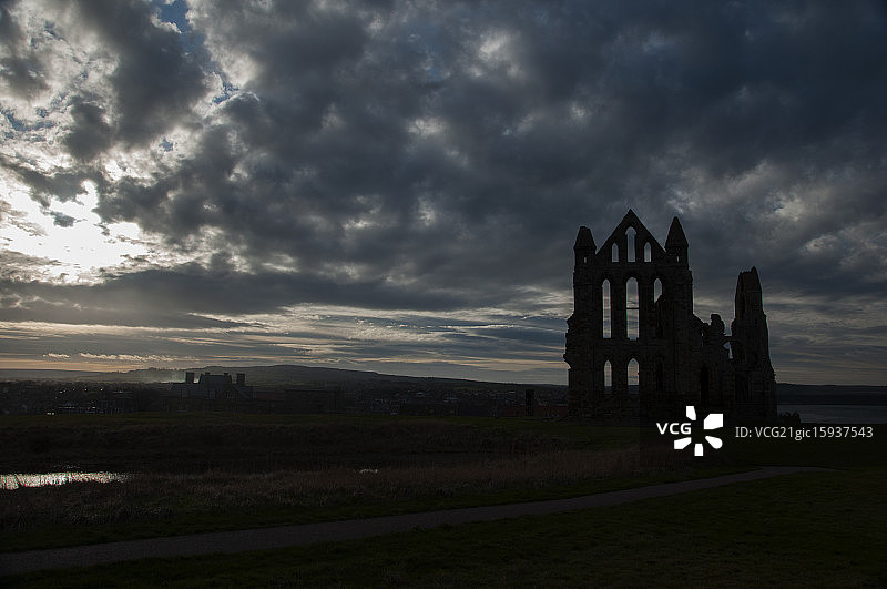 惠特比艾比图片素材