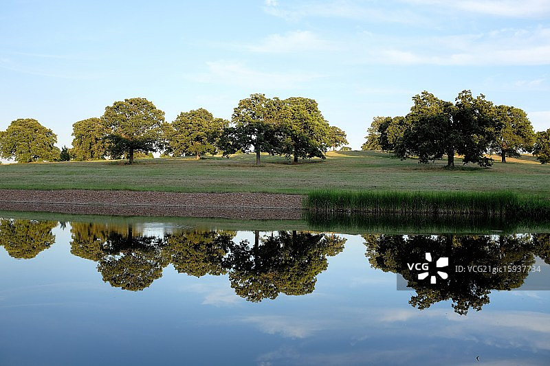 自然之对称图片素材
