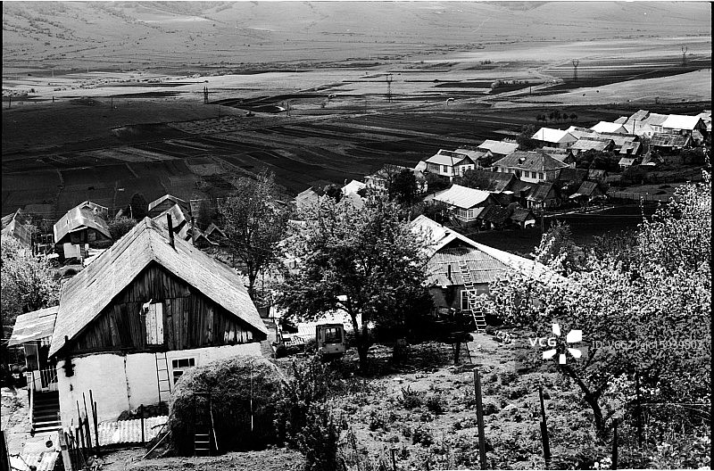 菲奥莱托沃图片素材