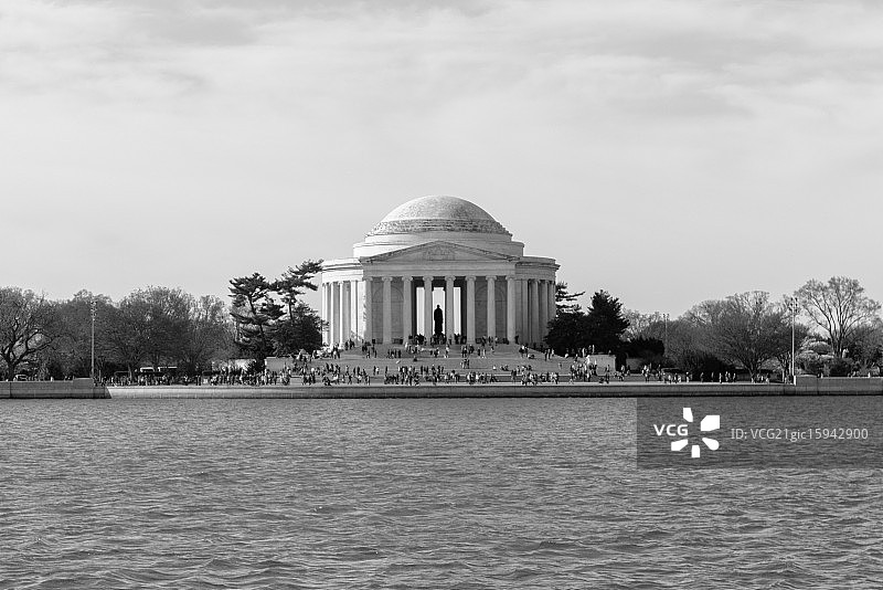 樱花节图片素材