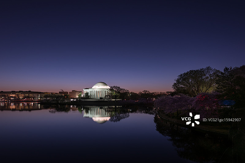 樱花节图片素材