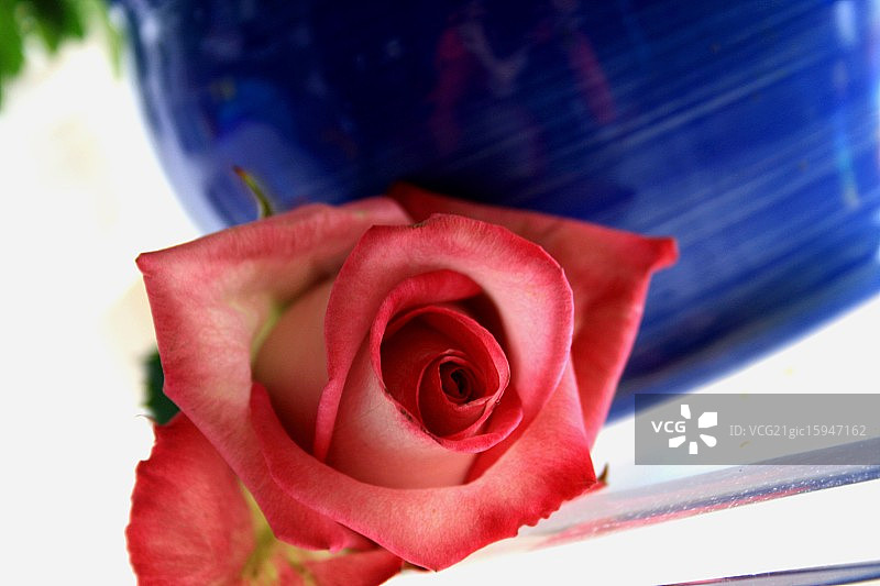 蓝色花瓶图片素材