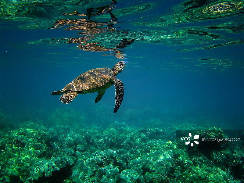 马凯纳的超现实主义镜子图片素材