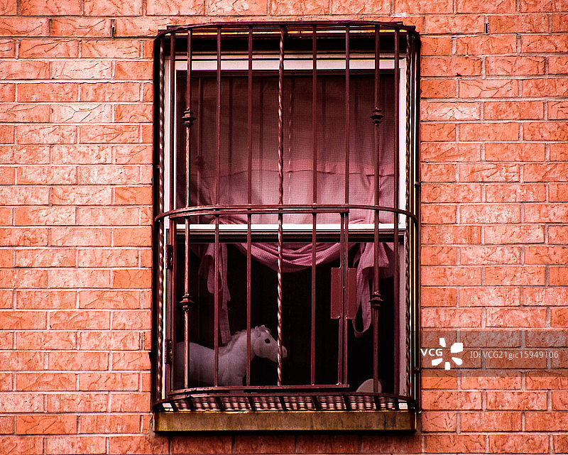 布鲁克林橱窗里的玩具马图片素材