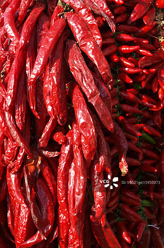 辣椒图片素材
