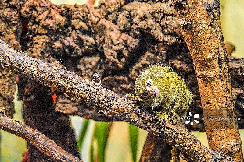 你好！图片素材