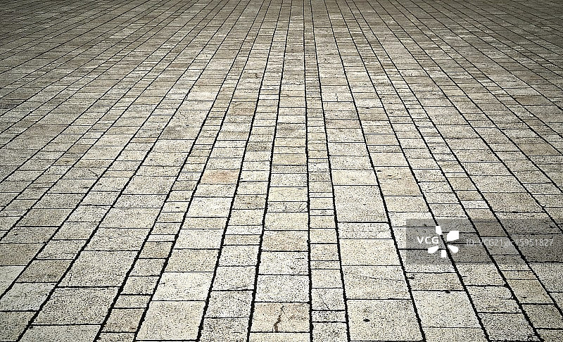 猫科动物瓷砖背景图片素材