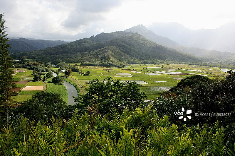 哈纳莱山谷瞭望台图片素材