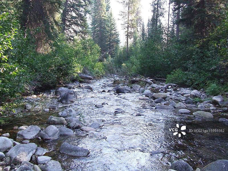 爱达荷州派恩的蛇河图片素材