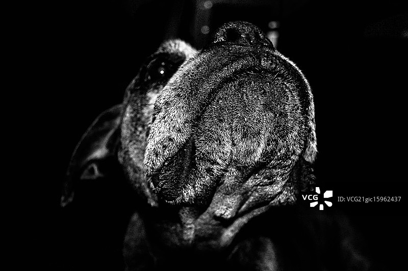 黑白拳击手图片素材