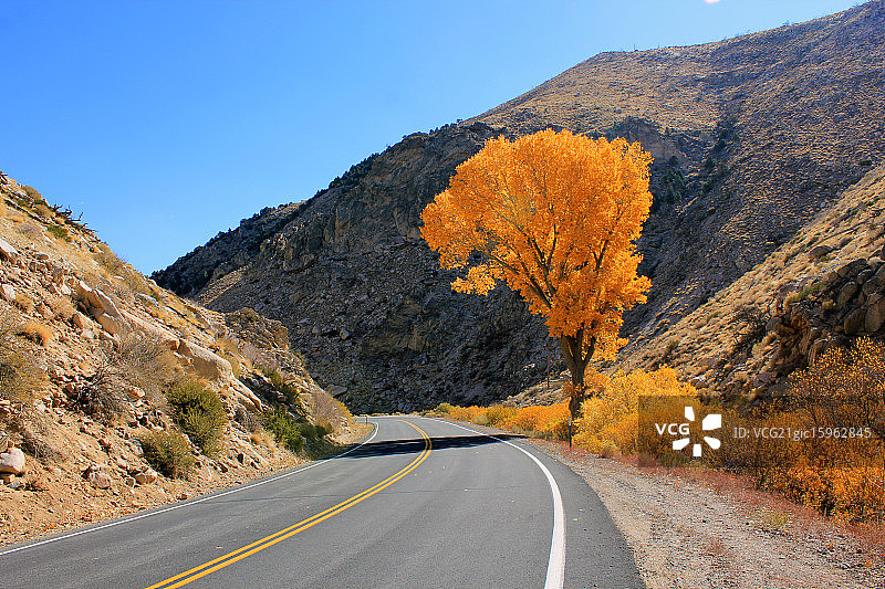 俯瞰帆船图片素材