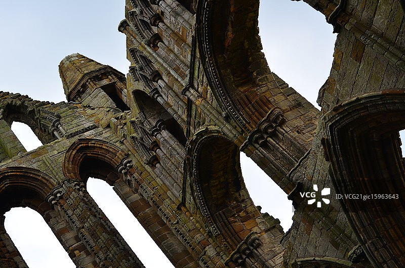 惠特比艾比图片素材