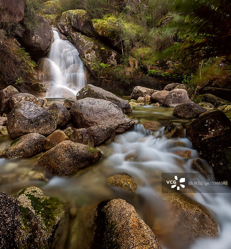 勇敢的女士图片素材