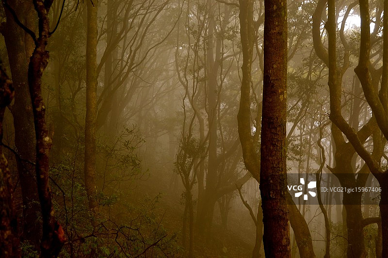 寂静岭图片素材