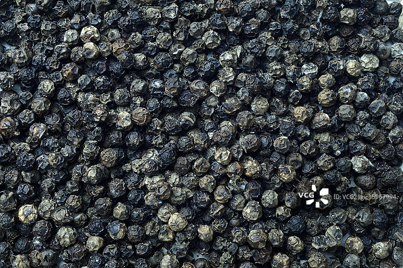 印度香料-黑胡椒图片素材