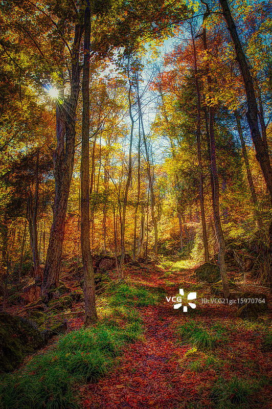 布莱克斯公园的布鲁斯步道图片素材