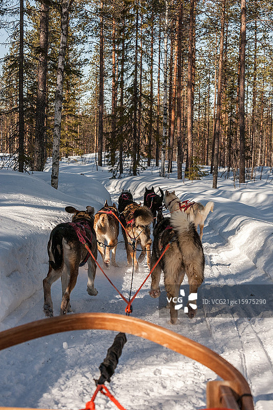 外出跑步图片素材