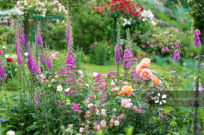 莫奈花园图片素材