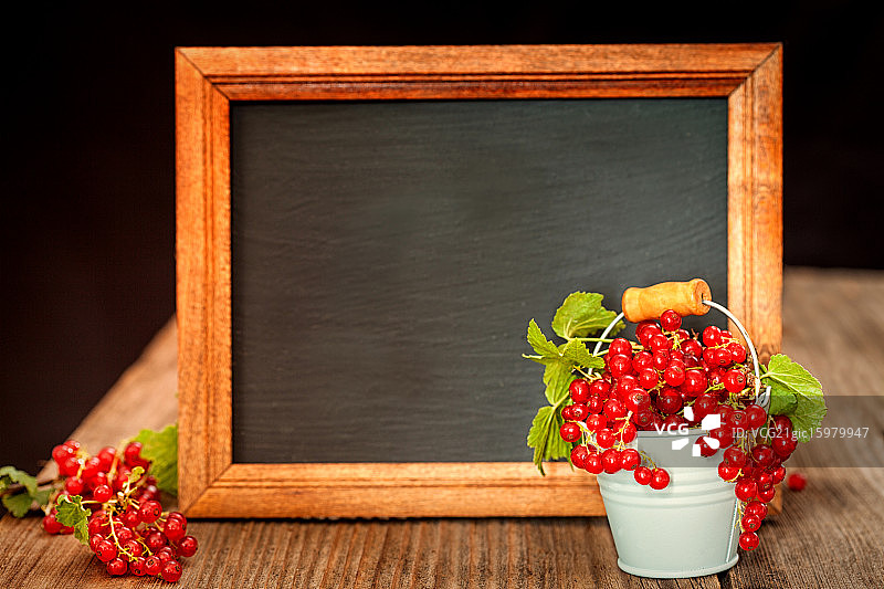 红醋栗图片素材