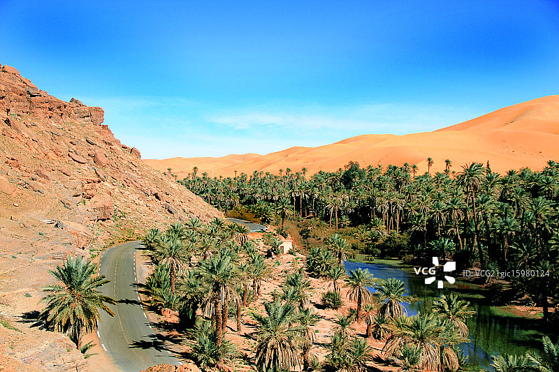 塔吉特图片素材