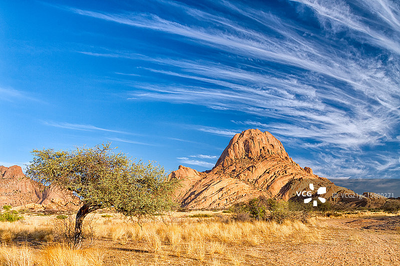 有树的斯皮茨科佩山图片素材