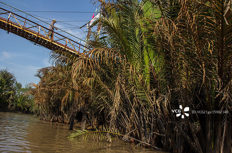湄公河三角洲图片素材