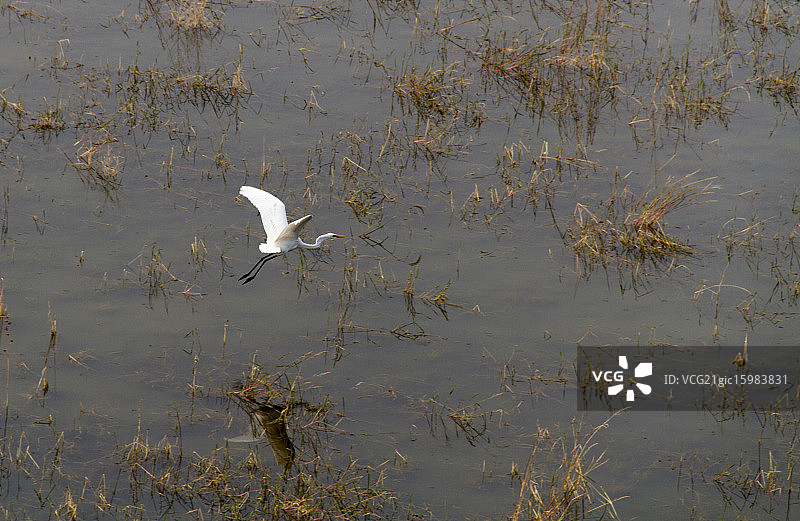 百福泉公园图片素材