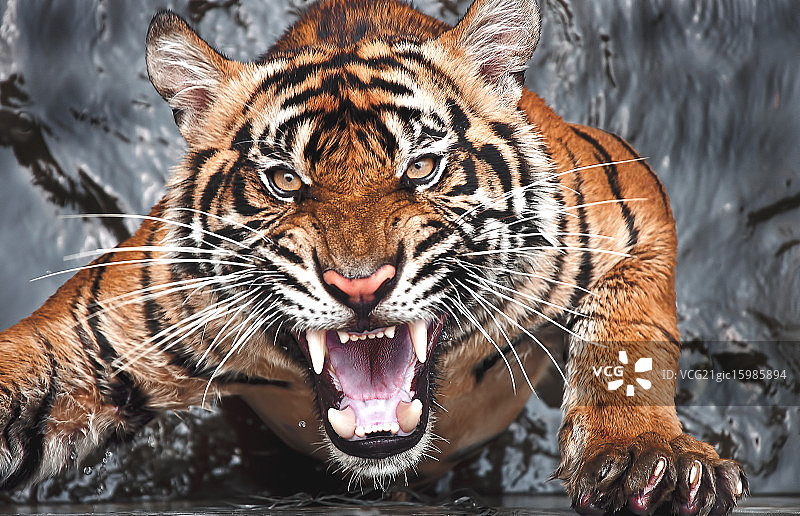 再次愤怒图片素材