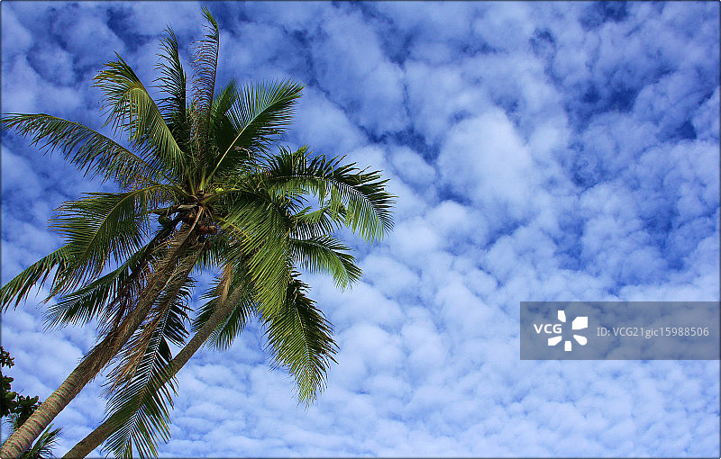 薄荷岛，菲律宾图片素材