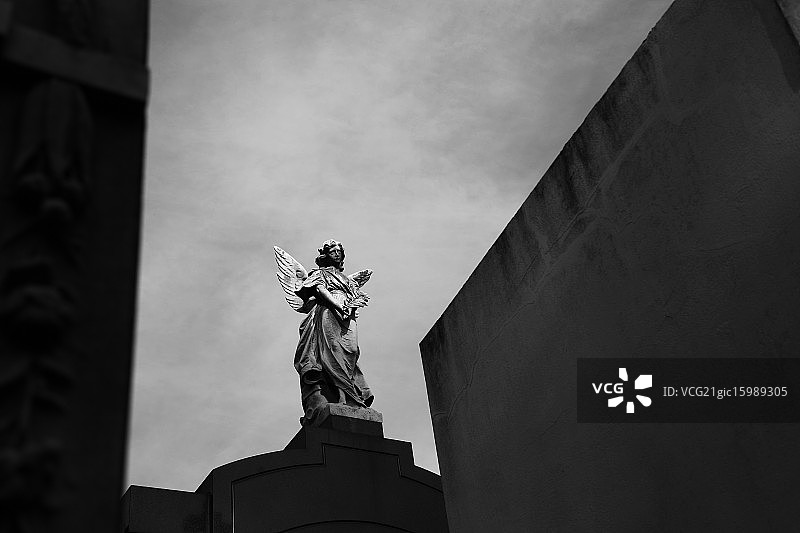 石天使图片素材