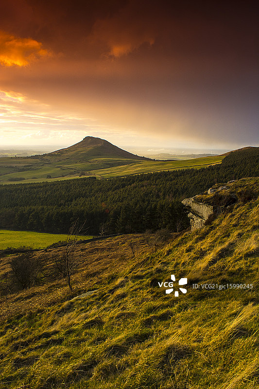 罗斯伯里山顶烟草图片素材