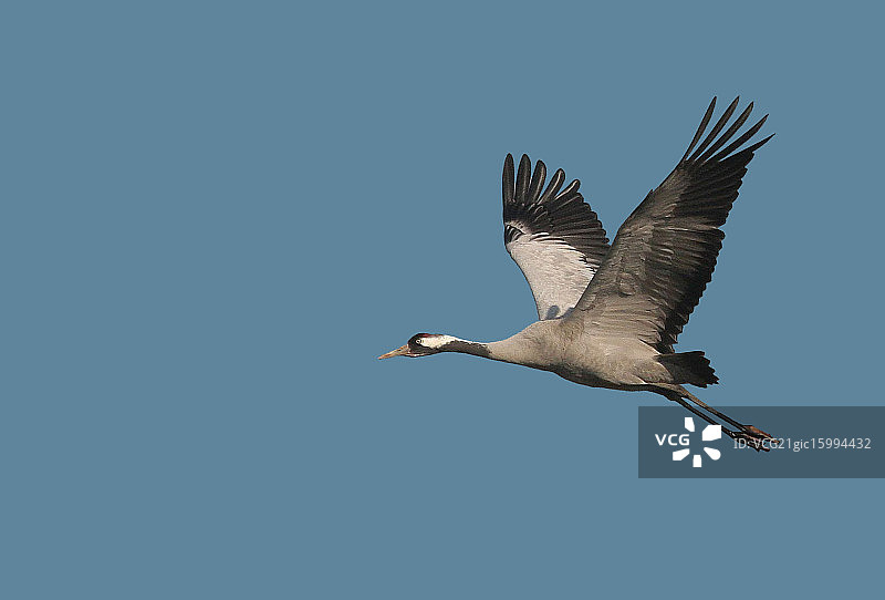 起重机图片素材