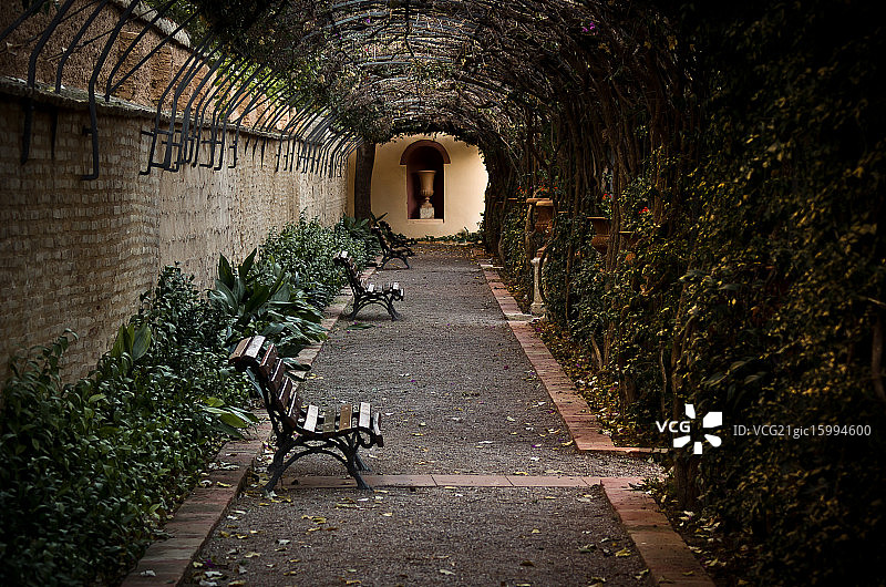 冬季花园图片素材