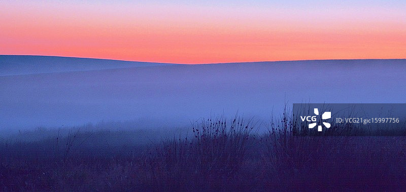 《暮光之城》图片素材