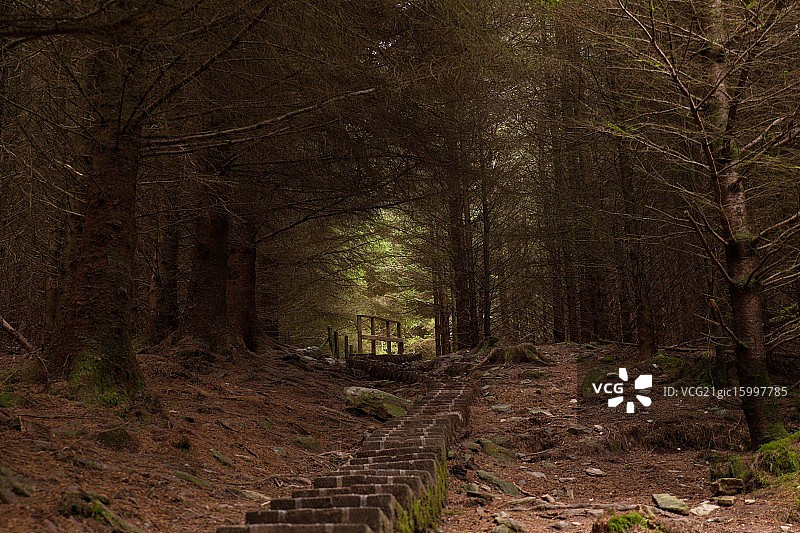 爱尔兰威克洛郡格兰达洛图片素材