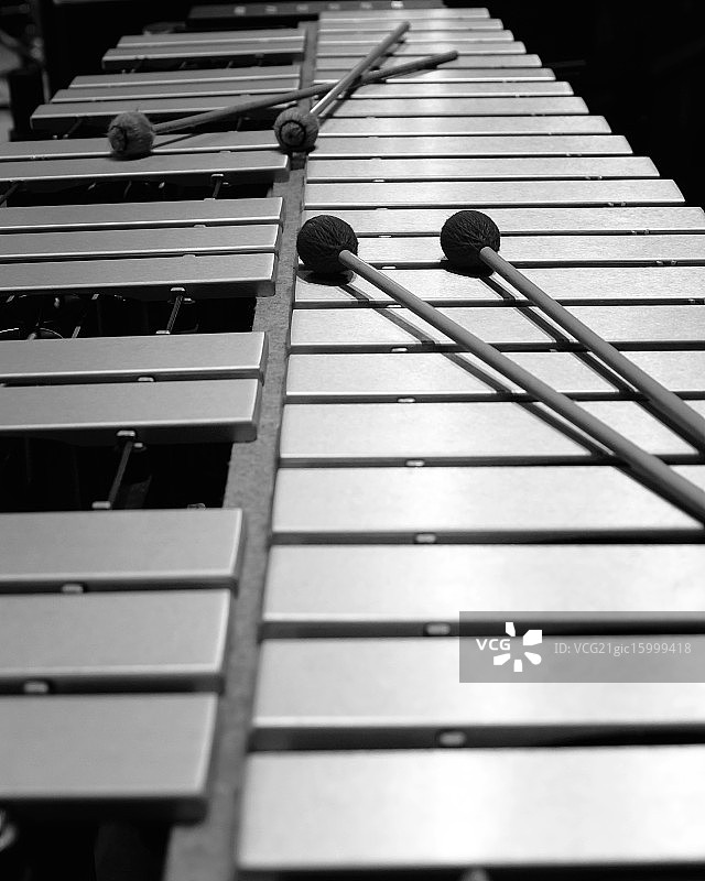 颤音琴图片素材