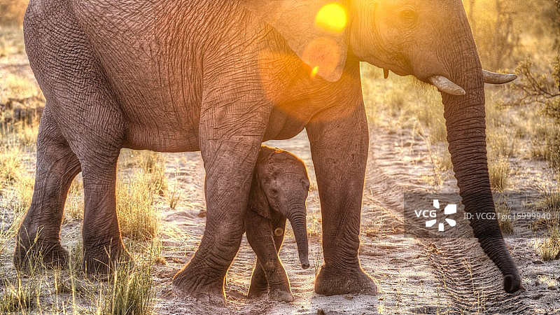 和妈妈在一起很安全图片素材