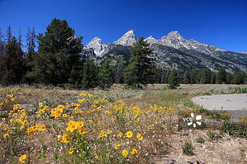 大提顿图片素材