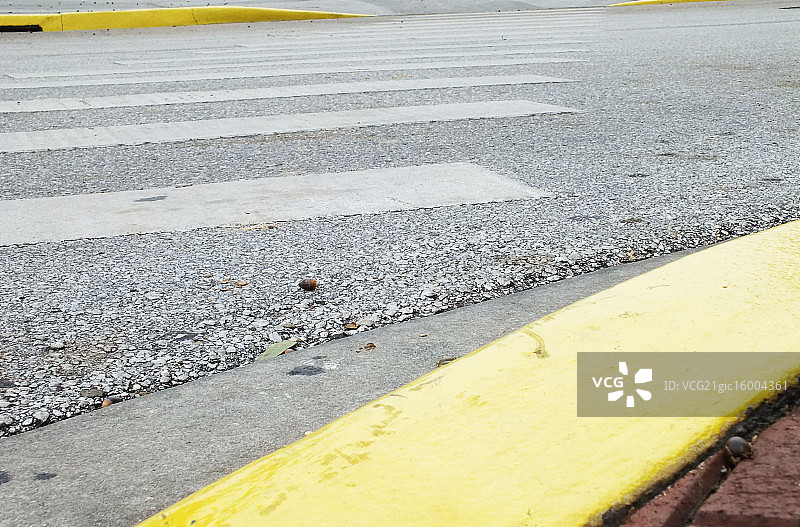 人行横道图片素材