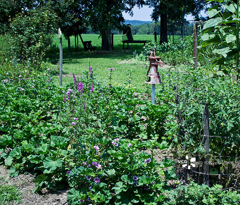 老乡村花园水泵图片素材