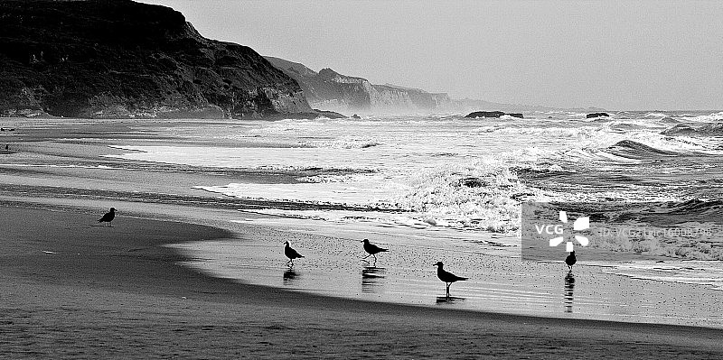 躲避风暴图片素材