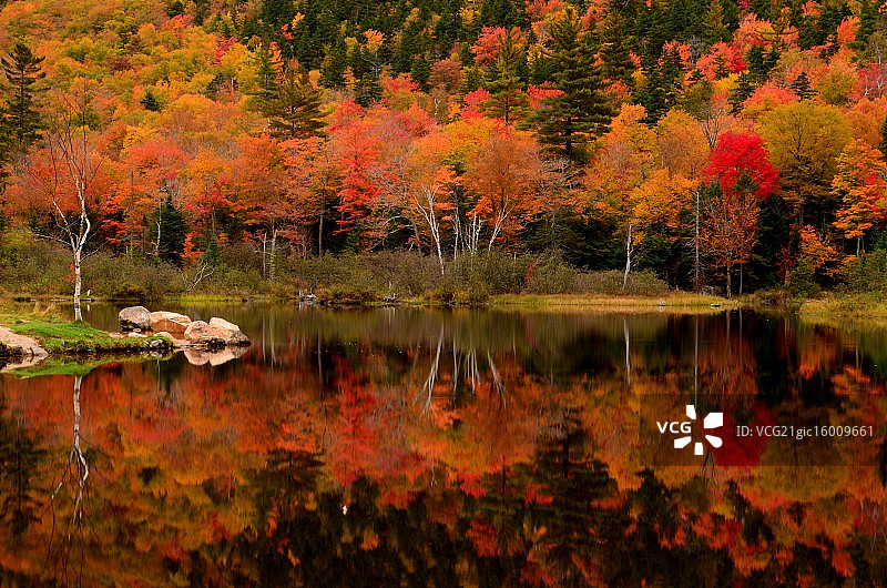 本杰瑞冰淇淋图片素材