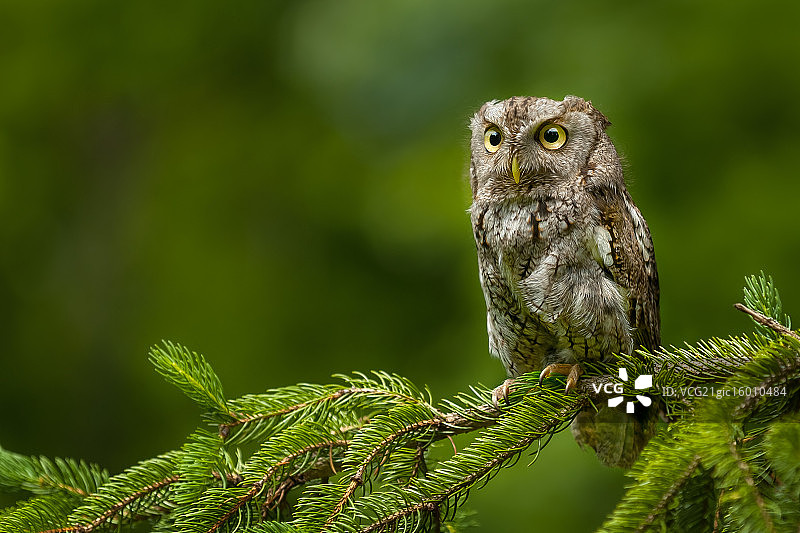 《卫报》图片素材
