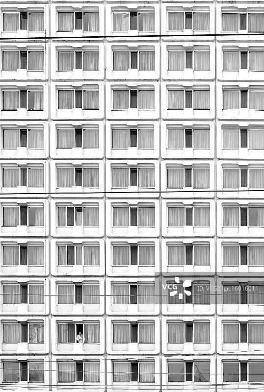 孤独的狼图片素材