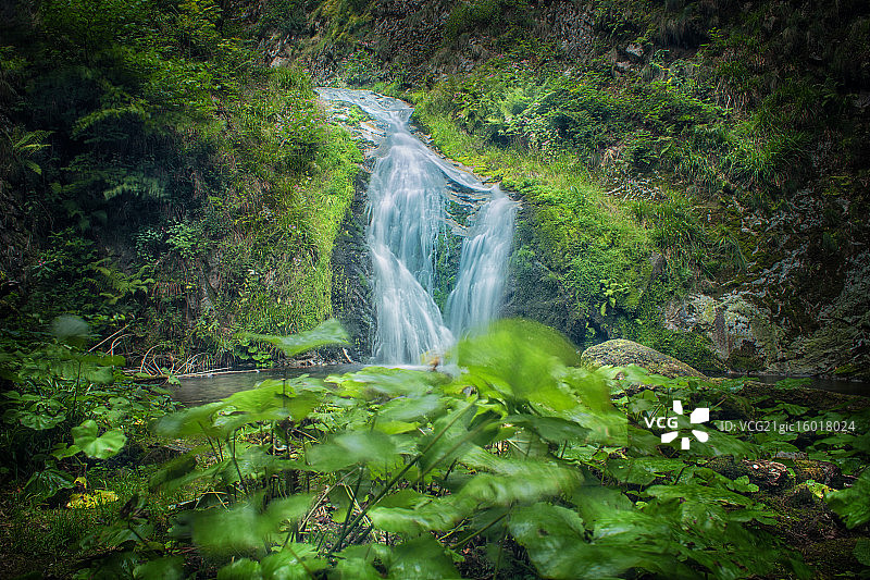 黑森林（巴登-巴登）图片素材