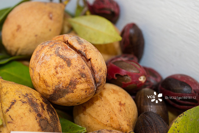 肉豆蔻的内部图片素材