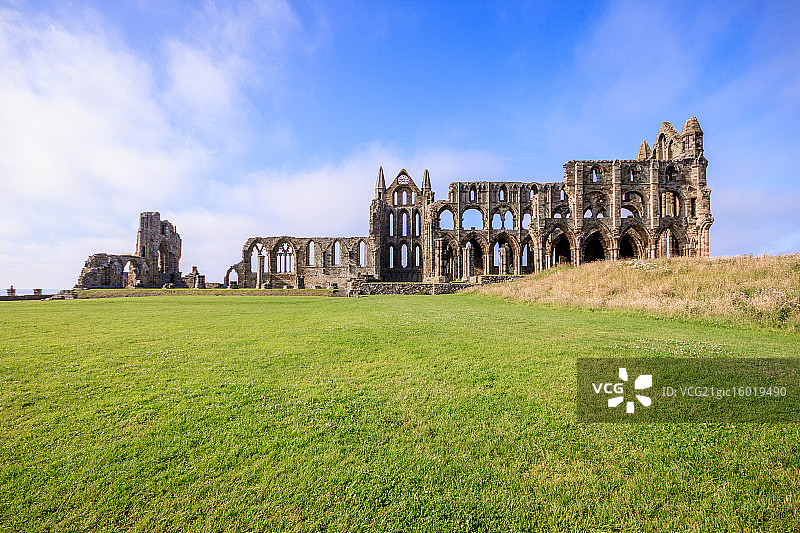 惠特比艾比图片素材