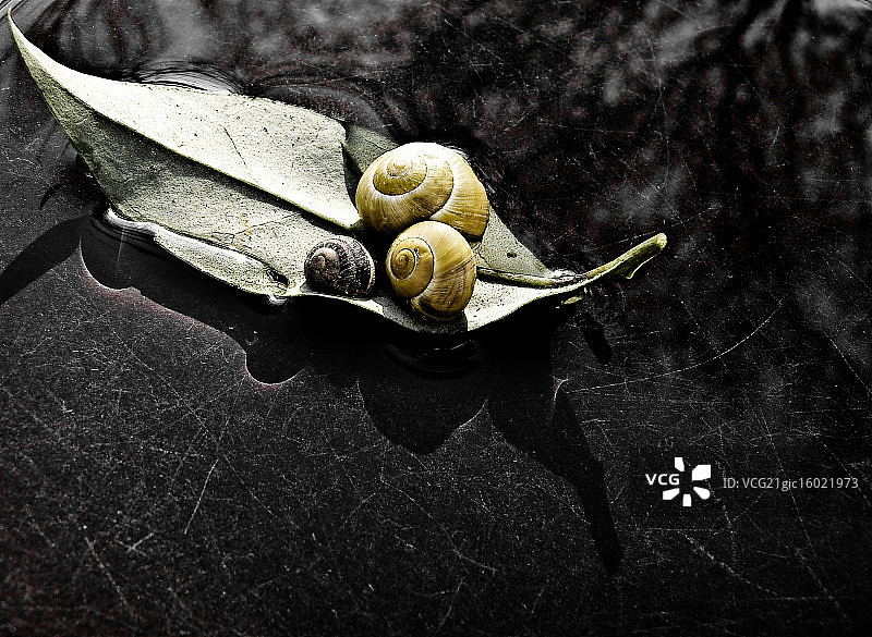 爱之船图片素材